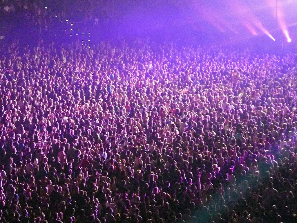 Cheering Crowd