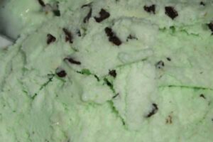 chocolate chip mint ice cream