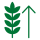 Grow Icon